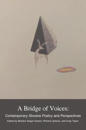 A Bridge of Voices book cover