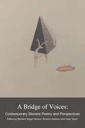 A Bridge of Voices book cover