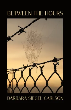 Between the Hours book cover