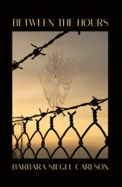 Between the Hours book cover