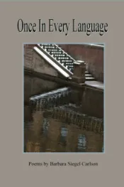 Once in Every Language book cover