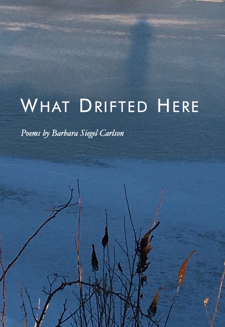 What Drifted Here Cover